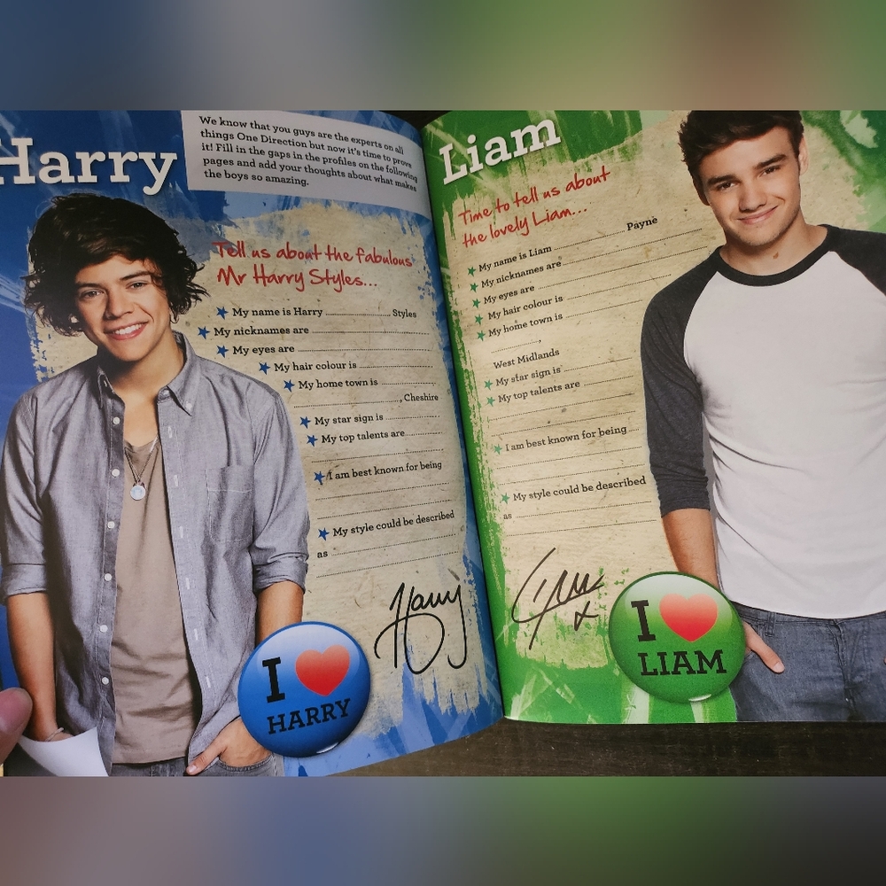 One Direction Ultimate Fan Book - Picture 5 of 16